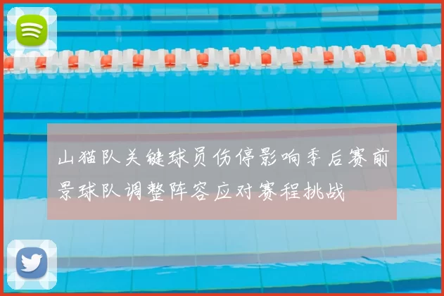 山猫队关键球员伤停影响季后赛前景球队调整阵容应对赛程挑战