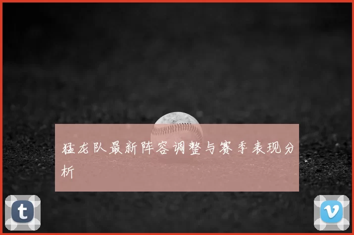 猛龙队最新阵容调整与赛季表现分析