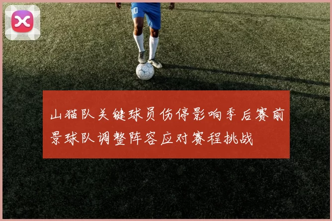 山猫队关键球员伤停影响季后赛前景球队调整阵容应对赛程挑战