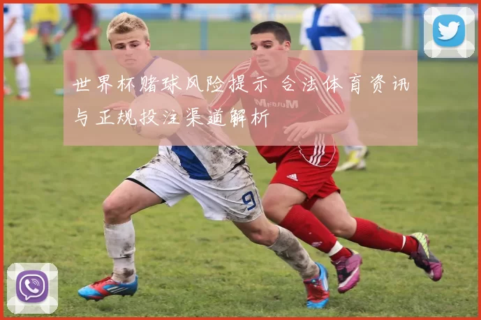 世界杯赌球风险提示 合法体育资讯与正规投注渠道解析