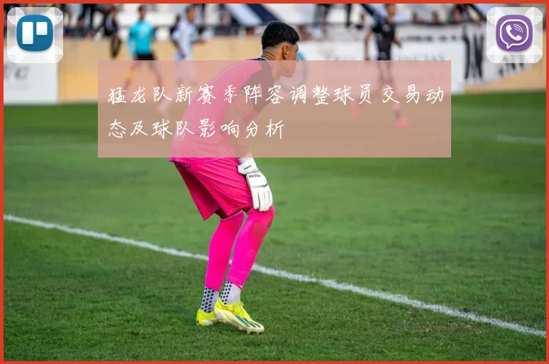 猛龙队新赛季阵容调整球员交易动态及球队影响分析